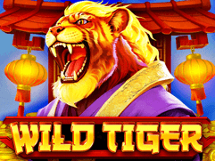 وائلڈ ٹائیگر game screenshot